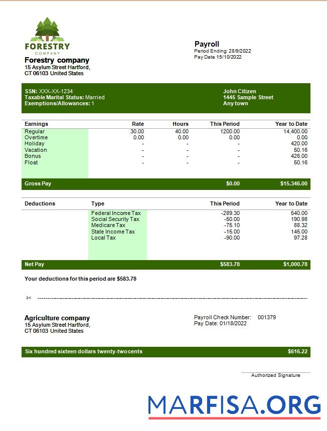 Realistic Forestry company payslip sample